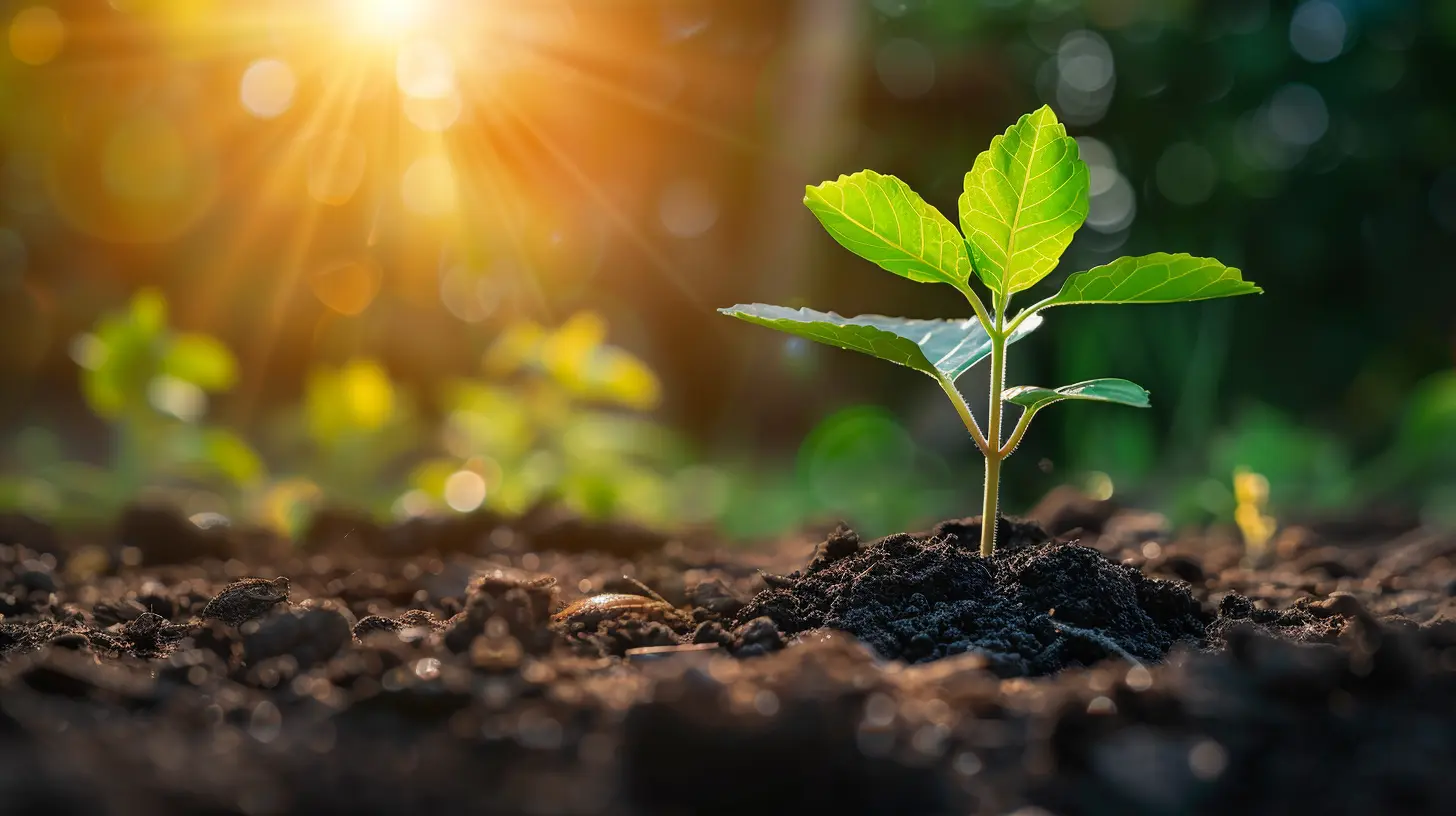 Intentional Living: How It Can Improve Your Personal Health