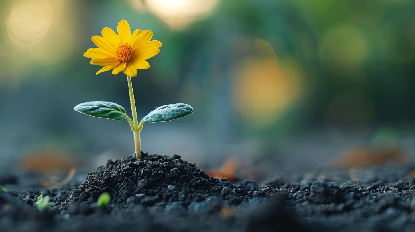 The Benefits of Embracing Imperfection on Your Journey to Wellness