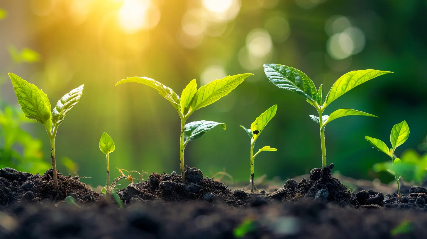 Using Personal Growth to Create a Healthier Lifestyle