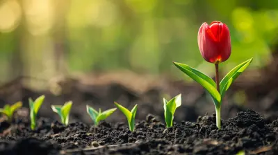 Building Healthy Habits that Stick: A Personal Journey