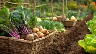 Busting Common Myths About Organic Farming Practices
