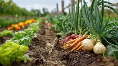 Busting Common Myths About Organic Farming Practices