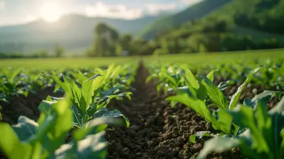 How Organic Farming Protects the Planet and Your Health