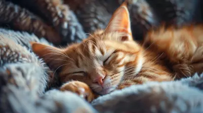 How Pets Can Positively Impact Your Mental Health