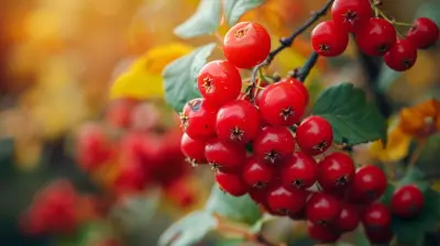 Inspired by Nature: Healthy Wild-Harvest Recipes