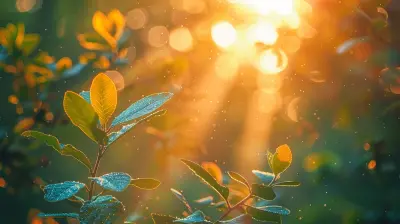 Light Exposure and Morning Sun: A Vital Part of Health