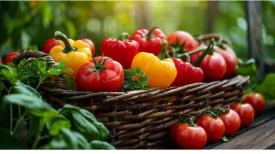 Organic Foods and Aging: Supporting Longevity with Healthy Choices
