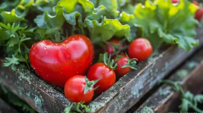 Simple Habits to Strengthen Your Heart Every Day