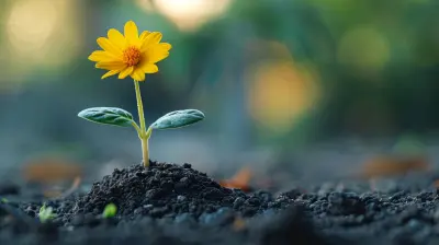 The Benefits of Embracing Imperfection on Your Journey to Wellness