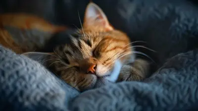 The Positive Impact of Pet Ownership on Your Heart Health