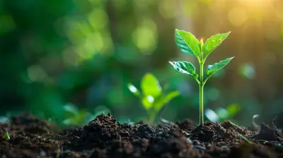 Using Personal Growth to Create a Healthier Lifestyle