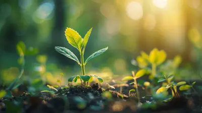 Using Personal Growth to Create a Healthier Lifestyle