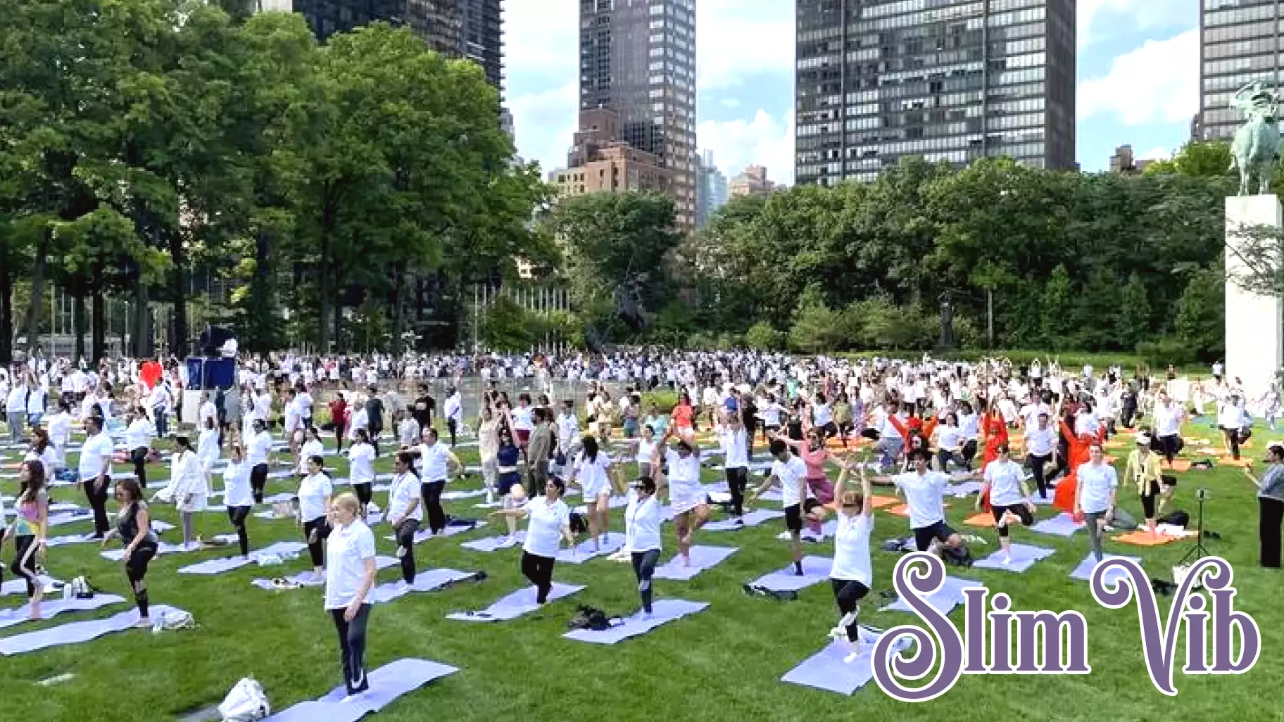 Finding Peace Through Yoga: A Sanctuary in Troubling Times