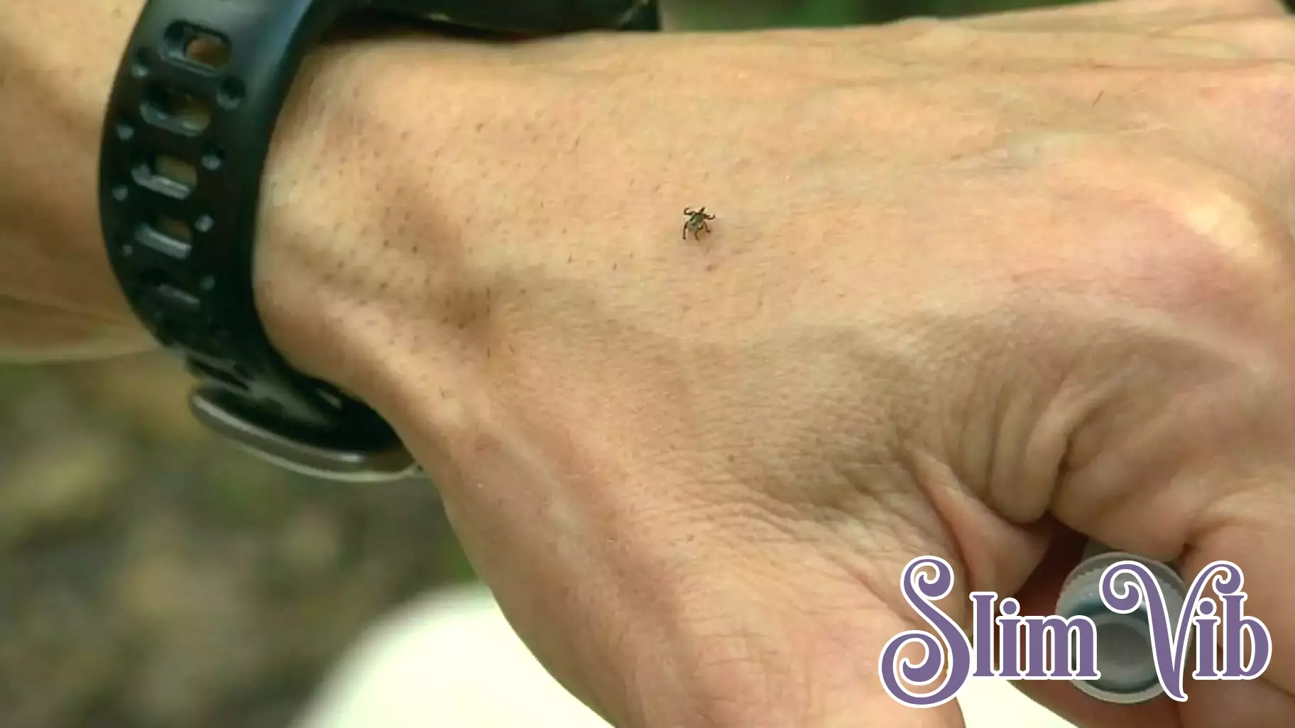 Increase in West Nile Virus Cases Reported by Health Officials