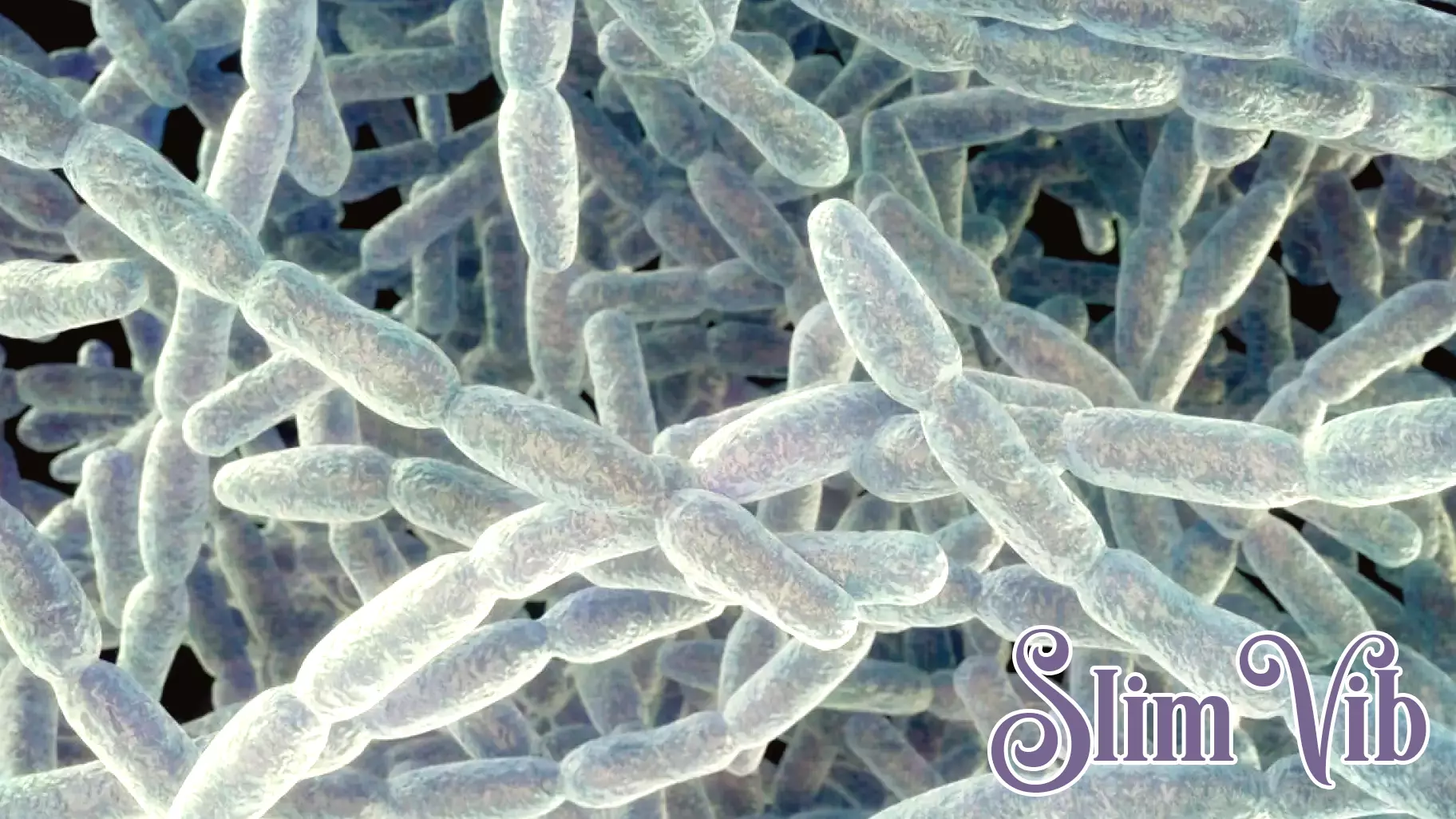 Legionnaires' disease concerns at East Village housing complex prompts NYC Health Department response