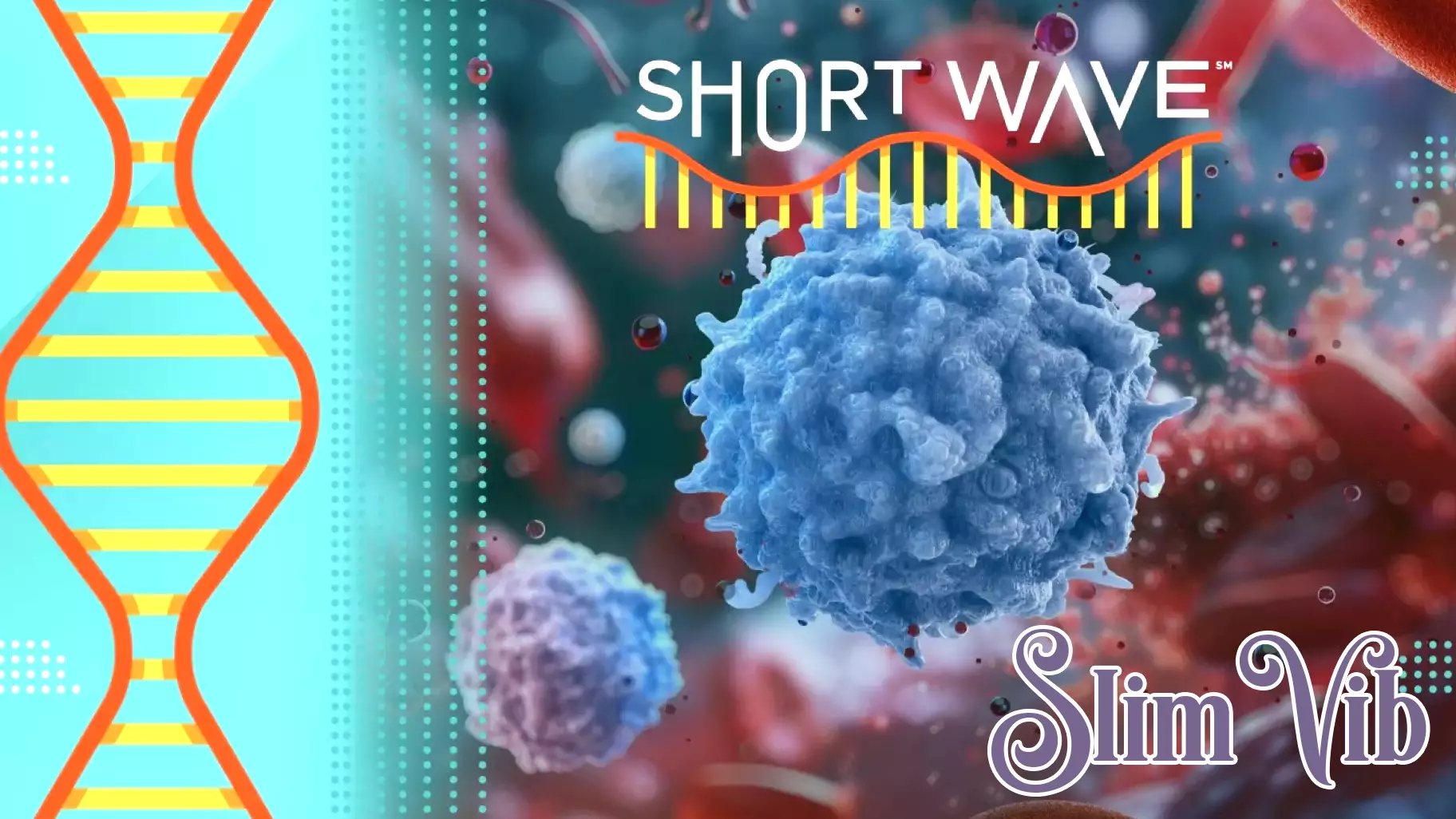 Mapping the Immune System: A Potential Game Changer for Medicine