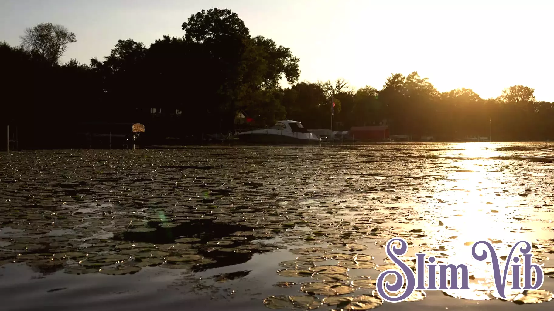 Minnesota Lakes Rated for Health: A Comprehensive Grading System