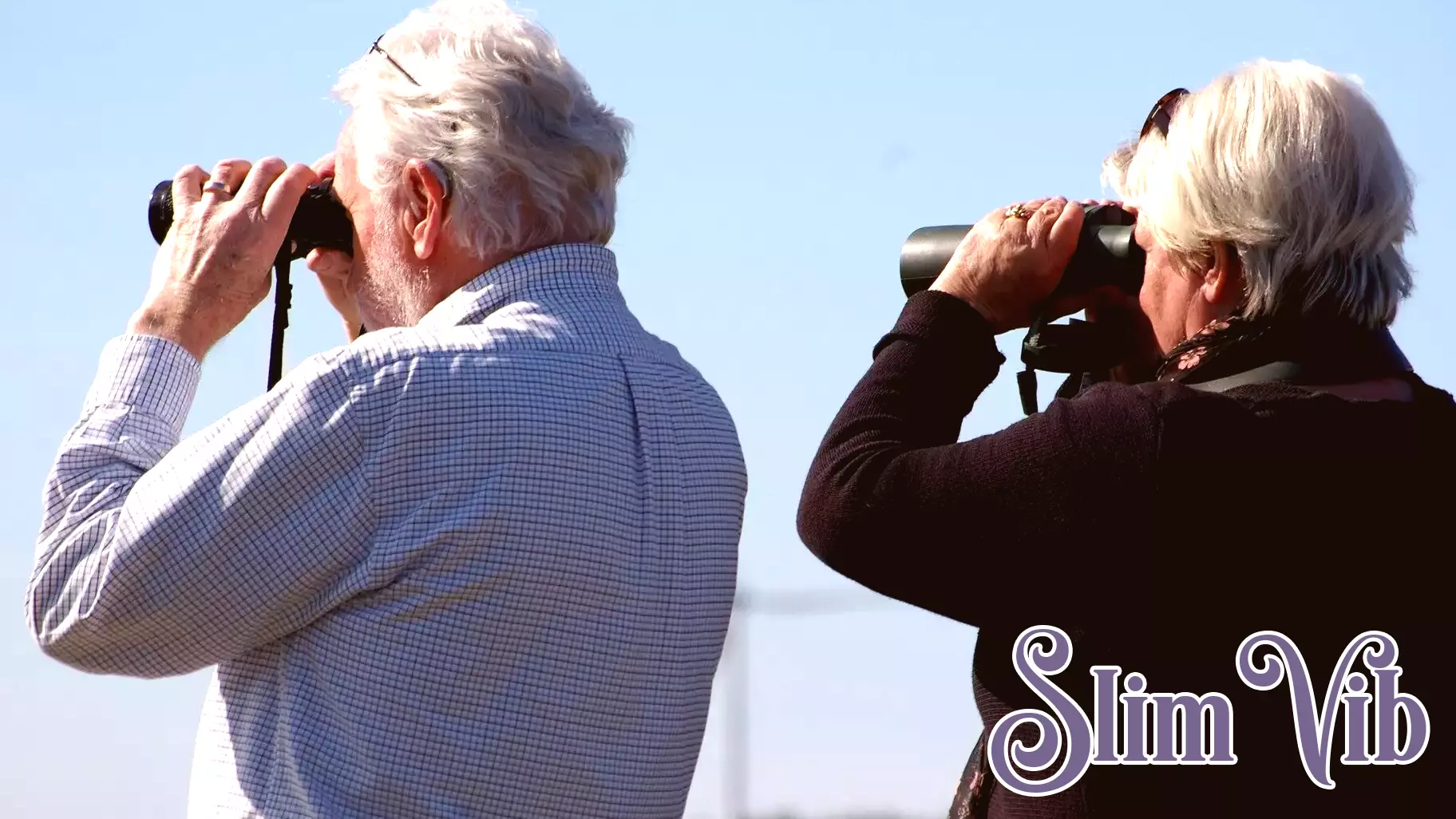 New Research Links Overall Health to Future Memory Decline in Older Adults