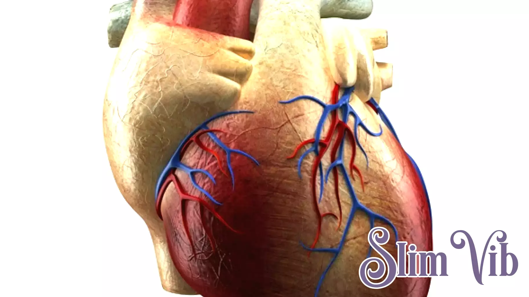 New Research Unveils Advantages of Combination Therapy for Cardiovascular Risk Reduction