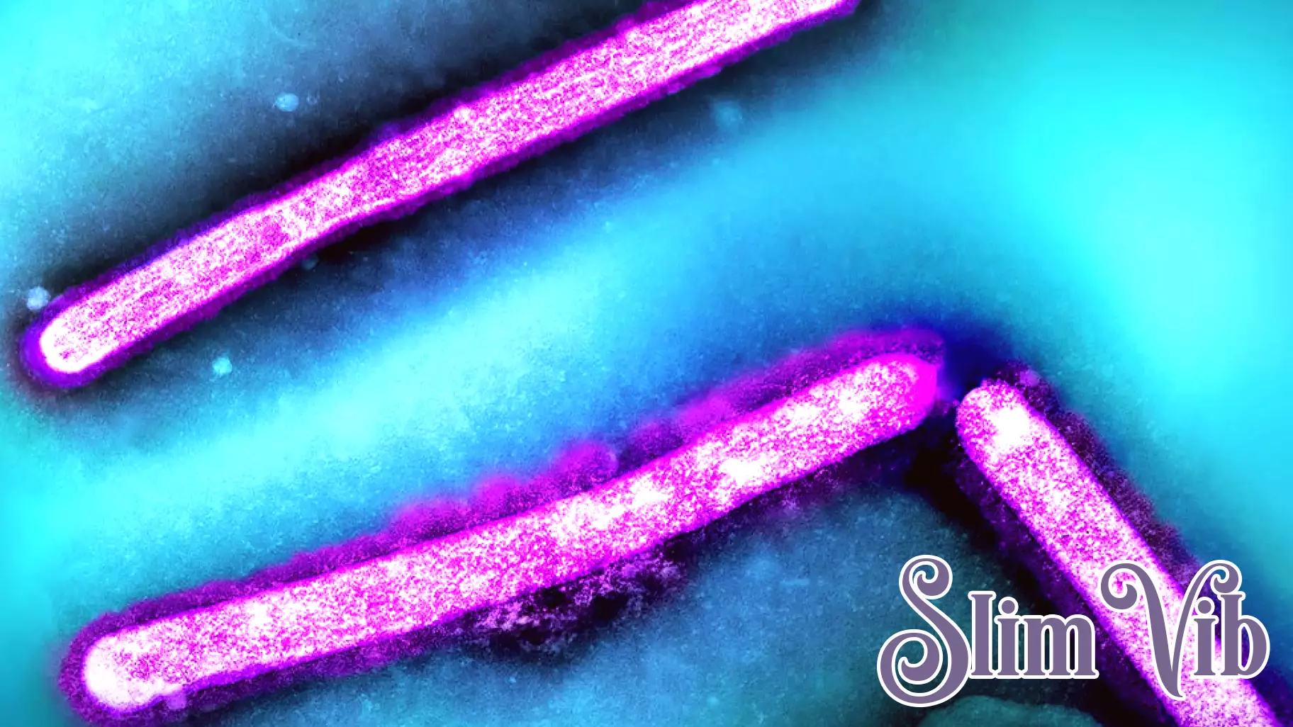 Rising Threat of Avian Influenza Poses Global Health Risks