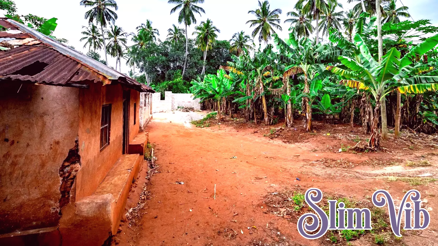 Tanzania’s purpose-built Star Homes brighten health outcomes