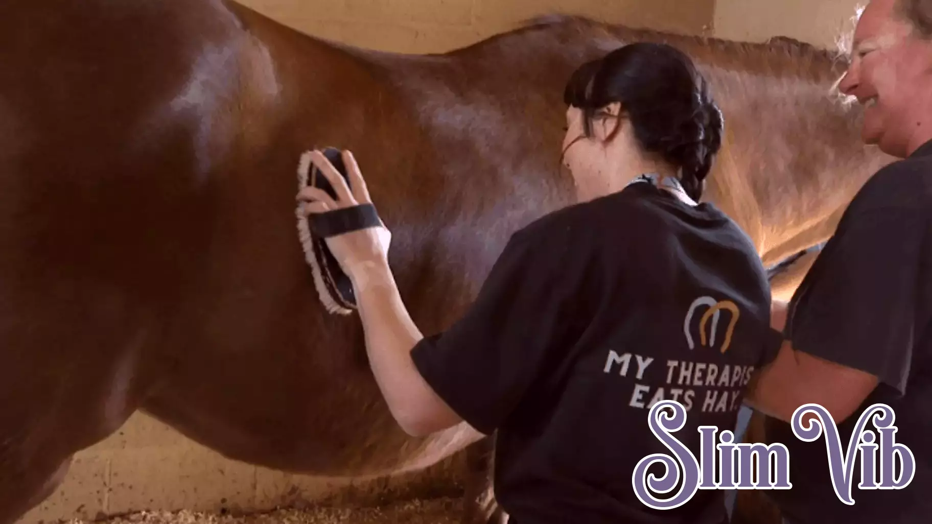 The Barns at Blue Mountain joins 2026 Horses for Mental Health national campaign