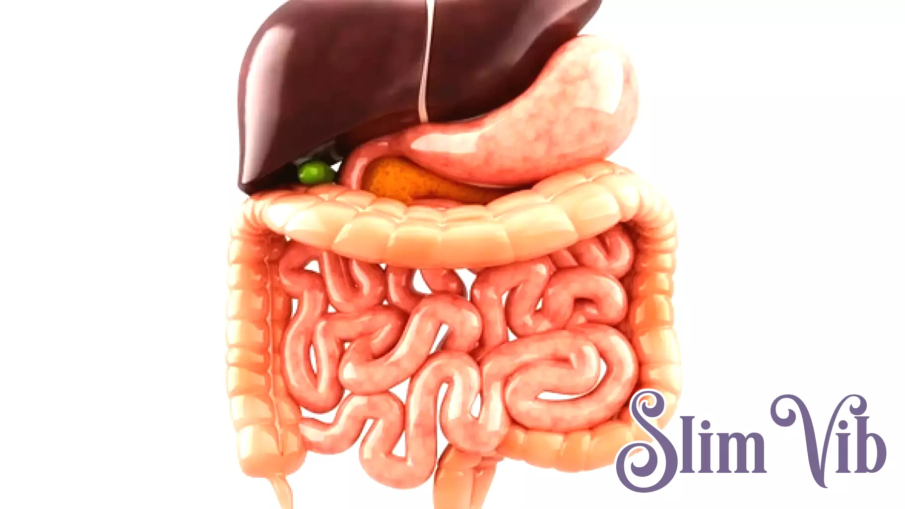 The Role of Early Bacterial Exposure in Children's Health