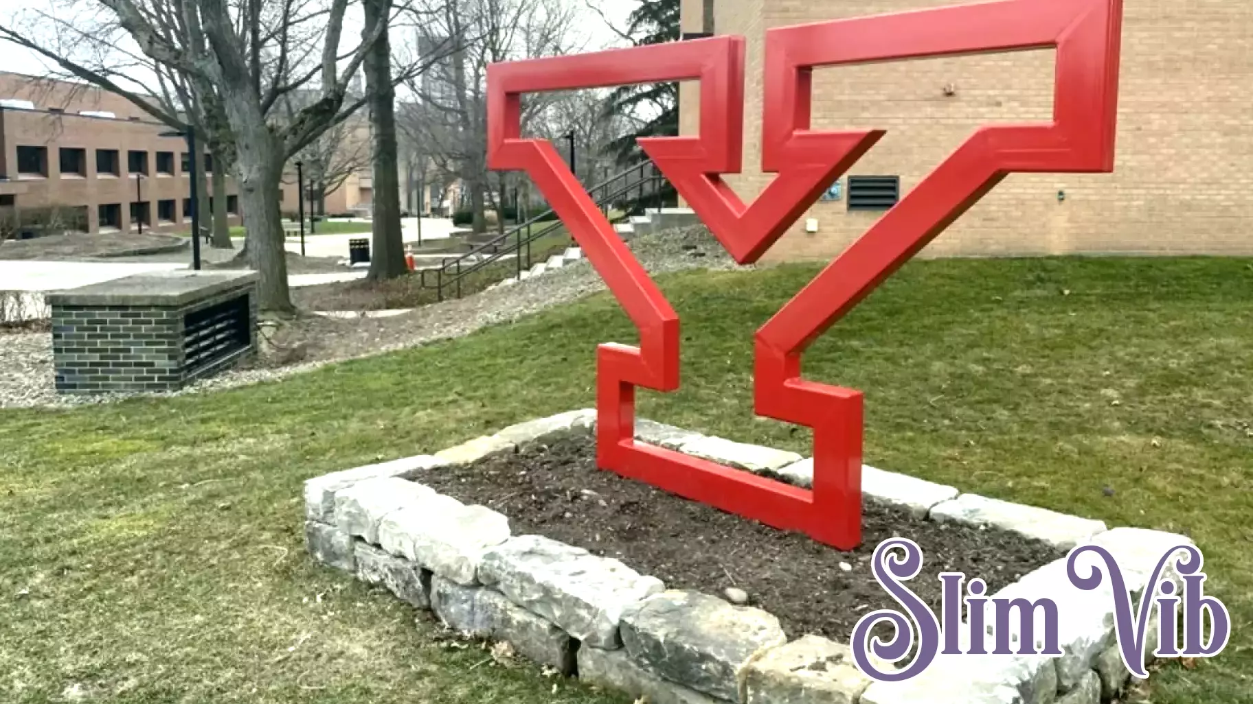 YSU’s Guin Fit recognized for health equity