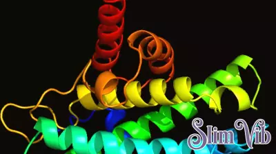 Consuming less protein could have greater health benefits and extend lifespan