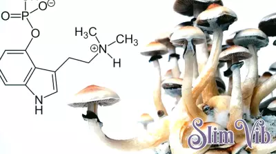 Exploring the Promise of Psilocybin in Mental Health Treatment
