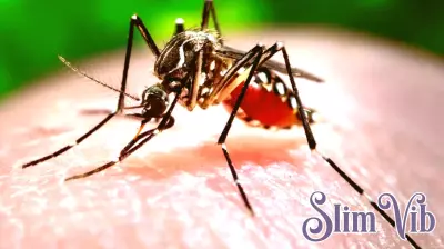Hawaii Reports Eighth Dengue Fever Case of the Year