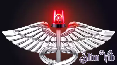 Investors and CEOs See ACCESS as a Major Digital Health Enabler