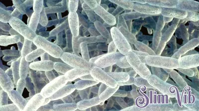 Legionnaires' disease concerns at East Village housing complex prompts NYC Health Department response
