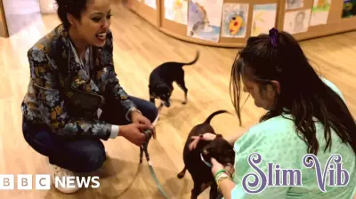 Mental health A&E unit 'helps patients be seen within 15 minutes'