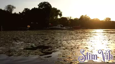 Minnesota Lakes Rated for Health: A Comprehensive Grading System