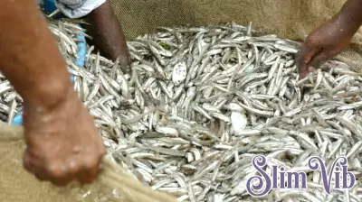 The Vital Role of Indian Ocean Fisheries in Nutritional Security