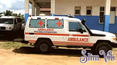 WHO declares global health emergency over Ebola outbreak in Congo and Uganda